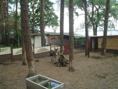DSC03288.JPG