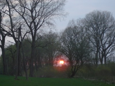 DSC08573.JPG