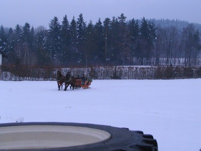 z bocianiego gniazda.JPG